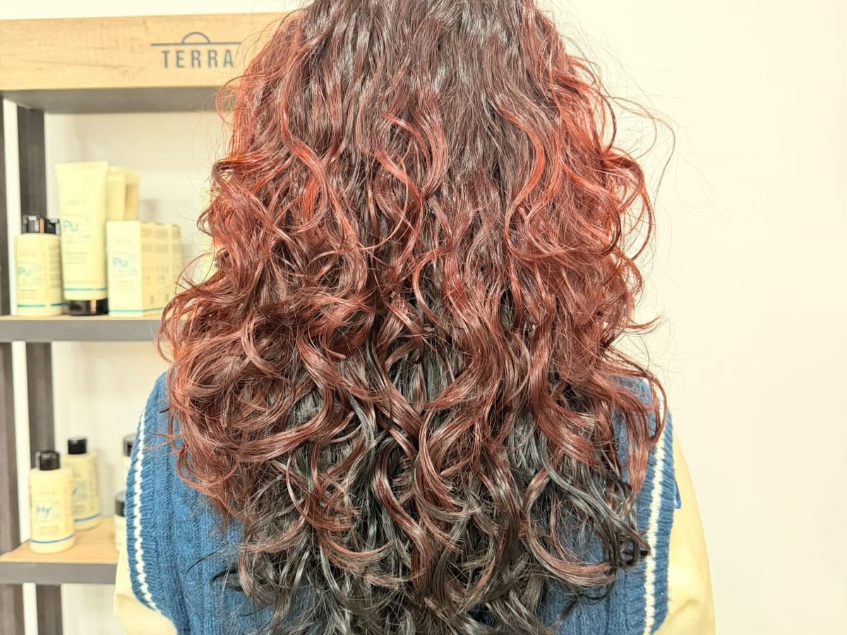 Studio Curly — foto 2